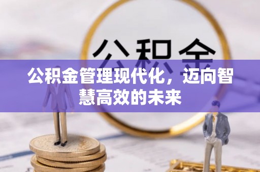 盐都公积金管理现代化，迈向智慧高效的未来