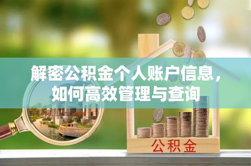 盐都解密公积金个人账户信息，如何高效管理与查询